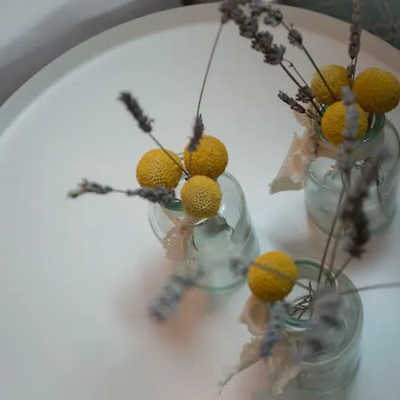 Billie Apartmán Split