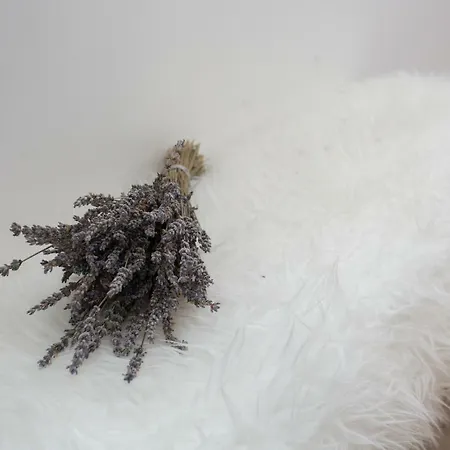 アパート Billie スプリト