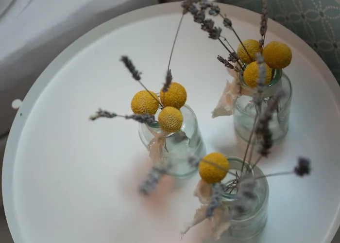 Billie Apartman Split