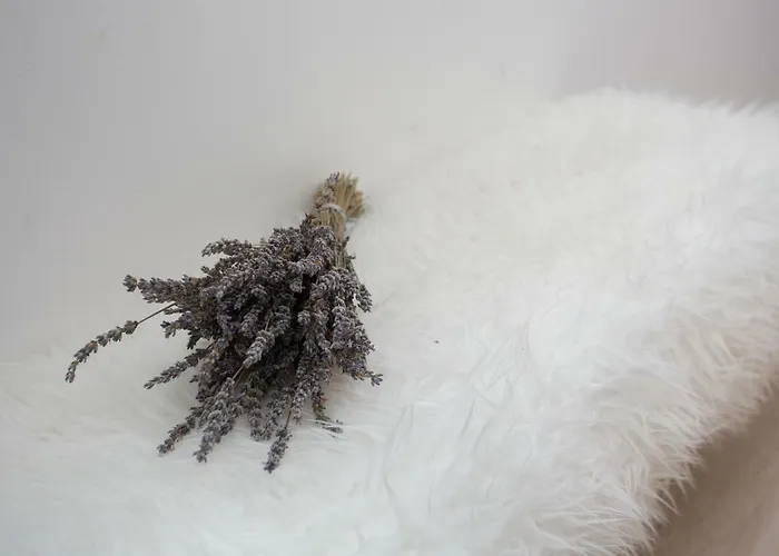 Apartman Billie Split