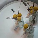 Billie 公寓 斯普利特